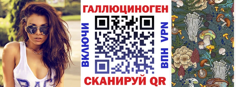 Галлюциногенные грибы Psilocybine cubensis  Белая Холуница 